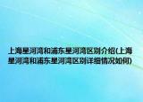上海星河湾和浦东星河湾区别介绍(上海星河湾和浦东星河湾区别详细情况如何)