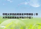 带有火字旁的男孩名字有哪些（带火字旁的男孩名字简介介绍）