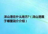 洋山港在什么地方?（洋山港属于哪里简介介绍）