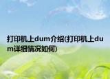 打印机上dum介绍(打印机上dum详细情况如何)
