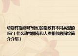 动物有指纹吗?他们的指纹有不同类型的吗?（什么动物拥有和人类相似的指纹简介介绍）