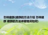 怎样建群(建群的方法介绍 怎样建群 建群的方法详细情况如何)