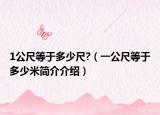 1公尺等于多少尺?（一公尺等于多少米简介介绍）