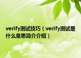 verify测试技巧（verify测试是什么意思简介介绍）