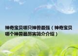 神奇宝贝哪只神兽最强（神奇宝贝哪个神兽最厉害简介介绍）