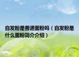 自发粉是普通面粉吗（自发粉是什么面粉简介介绍）