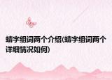 蜻字组词两个介绍(蜻字组词两个详细情况如何)