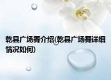 乾县广场舞介绍(乾县广场舞详细情况如何)