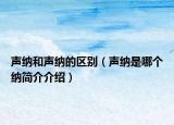 声纳和声纳的区别（声纳是哪个纳简介介绍）