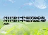 关于马丽韩国分丽一事马丽是如何回应的介绍(关于马丽韩国分丽一事马丽是如何回应的详细情况如何)