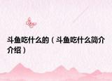 斗鱼吃什么的（斗鱼吃什么简介介绍）