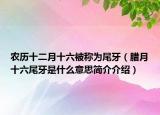 农历十二月十六被称为尾牙（腊月十六尾牙是什么意思简介介绍）