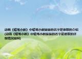 动画《蜡笔小新》中蜡笔小新妹妹的名字是谁取的介绍(动画《蜡笔小新》中蜡笔小新妹妹的名字是谁取的详细情况如何)