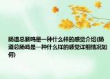 肠道总肠鸣是一种什么样的感觉介绍(肠道总肠鸣是一种什么样的感觉详细情况如何)