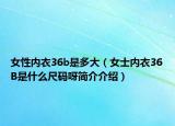 女性内衣36b是多大（女士内衣36B是什么尺码呀简介介绍）