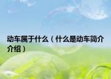 动车属于什么（什么是动车简介介绍）