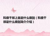 科级干部上面是什么级别（科级干部是什么级别简介介绍）