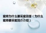 蜜蜂为什么要采蜜简答（为什么蜜蜂要采蜜简介介绍）