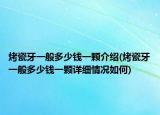 烤瓷牙一般多少钱一颗介绍(烤瓷牙一般多少钱一颗详细情况如何)