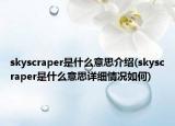skyscraper是什么意思介绍(skyscraper是什么意思详细情况如何)