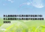 怎么查看超级大乐透往期开奖结果介绍(怎么查看超级大乐透往期开奖结果详细情况如何)