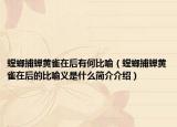 螳螂捕蝉黄雀在后有何比喻（螳螂捕蝉黄雀在后的比喻义是什么简介介绍）