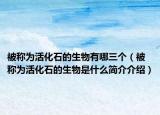 被称为活化石的生物有哪三个（被称为活化石的生物是什么简介介绍）
