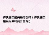许氏四杰的关系怎么样（许氏四杰是亲兄弟吗简介介绍）