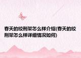 春天的绞刑架怎么样介绍(春天的绞刑架怎么样详细情况如何)