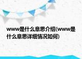 www是什么意思介绍(www是什么意思详细情况如何)