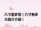 八寸是多宽（八寸有多大简介介绍）