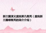 新三国演义庞统第几集死（庞统新三国哪集死的简介介绍）