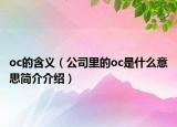 oc的含义（公司里的oc是什么意思简介介绍）