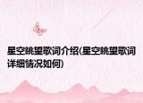 星空眺望歌词介绍(星空眺望歌词详细情况如何)