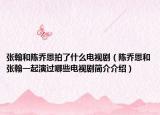 张翰和陈乔恩拍了什么电视剧（陈乔恩和张翰一起演过哪些电视剧简介介绍）