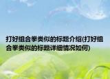 打好组合拳类似的标题介绍(打好组合拳类似的标题详细情况如何)