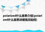 polarized什么意思介绍(polarized什么意思详细情况如何)