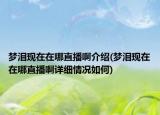 梦泪现在在哪直播啊介绍(梦泪现在在哪直播啊详细情况如何)
