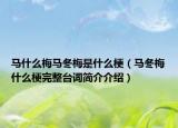马什么梅马冬梅是什么梗（马冬梅什么梗完整台词简介介绍）