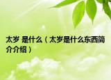 太岁 是什么（太岁是什么东西简介介绍）