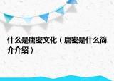 什么是唐密文化（唐密是什么简介介绍）