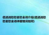 借酒消愁愁更愁全诗介绍(借酒消愁愁更愁全诗详细情况如何)
