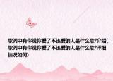 歌词中有你说你爱了不该爱的人是什么歌?介绍(歌词中有你说你爱了不该爱的人是什么歌?详细情况如何)
