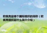 欧佩克是哪个国际组织的简称（欧佩克组织是什么简介介绍）