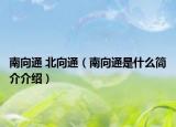 南向通 北向通（南向通是什么简介介绍）