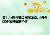 音乐节奏有哪些介绍(音乐节奏有哪些详细情况如何)
