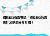 钢铁侠3有彩蛋吗（钢铁侠3的彩蛋什么意思简介介绍）