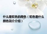 什么是驼色的颜色（驼色是什么颜色简介介绍）