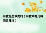 麻黄是全草类吗（麻黄草有几种简介介绍）