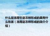 什么是冻雨它是怎样形成的具有什么危害（冻雨是怎样形成的简介介绍）